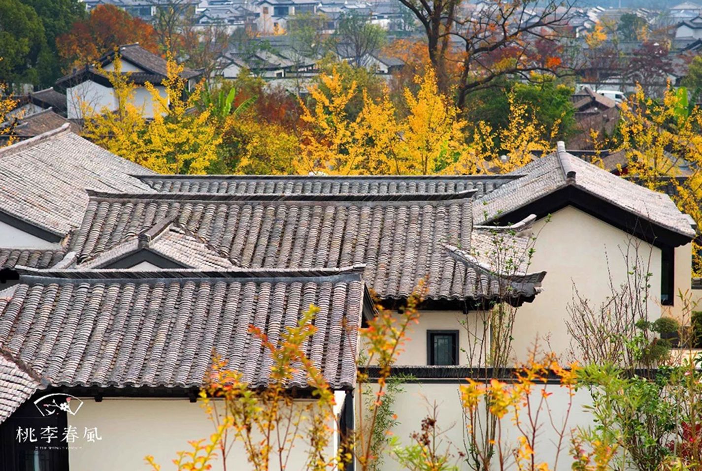 鉴黑担保网(jhdbw)·最具权威唯一维权担保平台